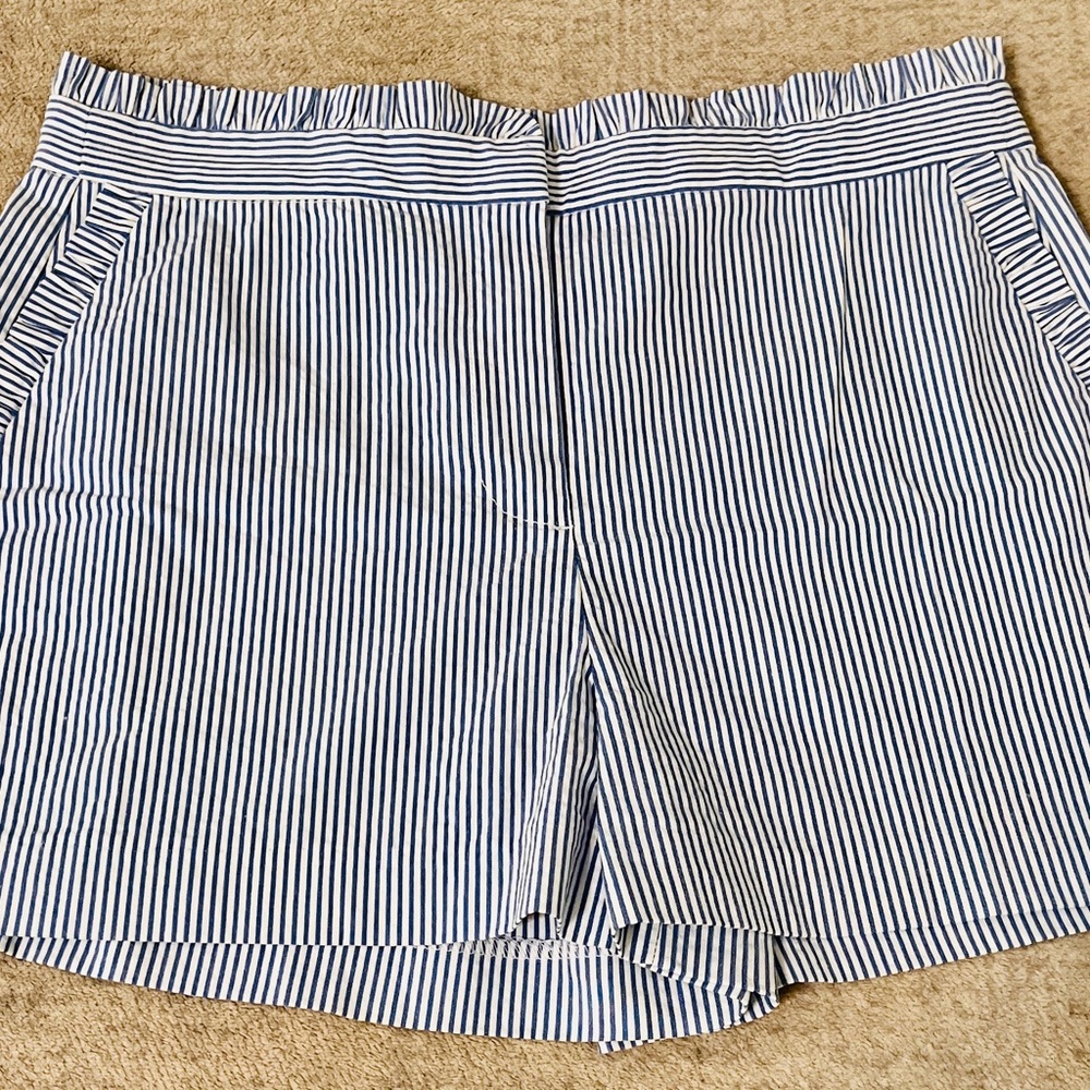 J. Crew Blue and White Striped Women Shorts